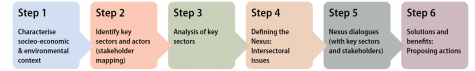 Nexus pathway